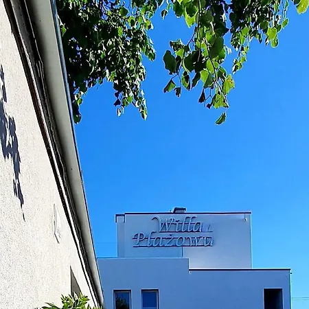 Plazowa *